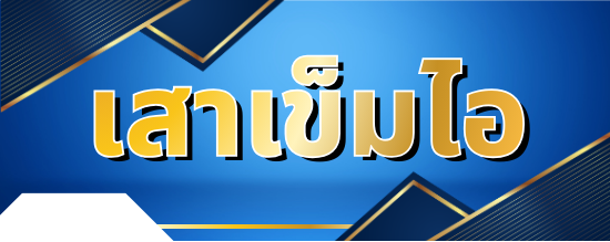 เสาเข็มไอ (I-Pile Micro Pile)